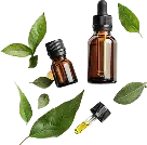 Immunity booster supplements